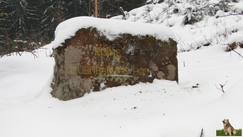 Ritterstein Nr. 200-2 Ruine Gruenbacher-Hof.JPG - Ritterstein Nr.200 Ruine Gruenbacher-Hof